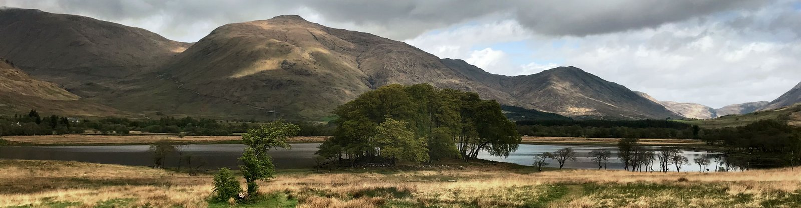 Dummy Header Image Dummy Header Image